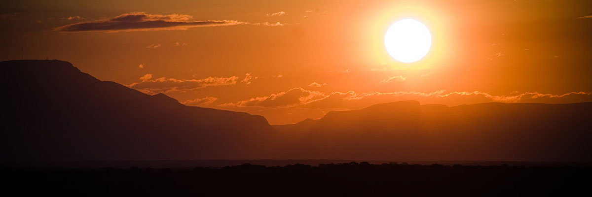 Nutrient Spotlight: Vitamin D3